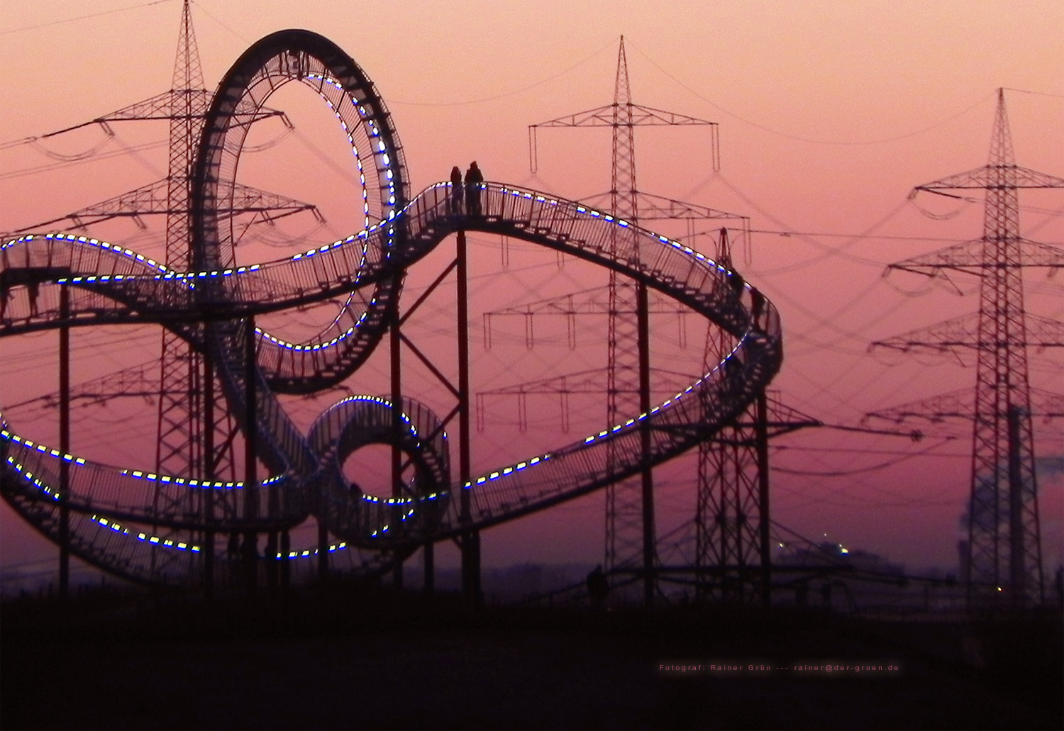 Tiger & Turtle